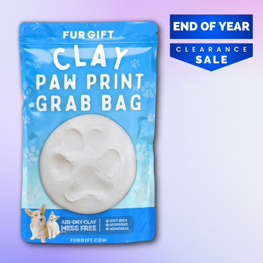 Clay Paw Print Grab Bag Kit