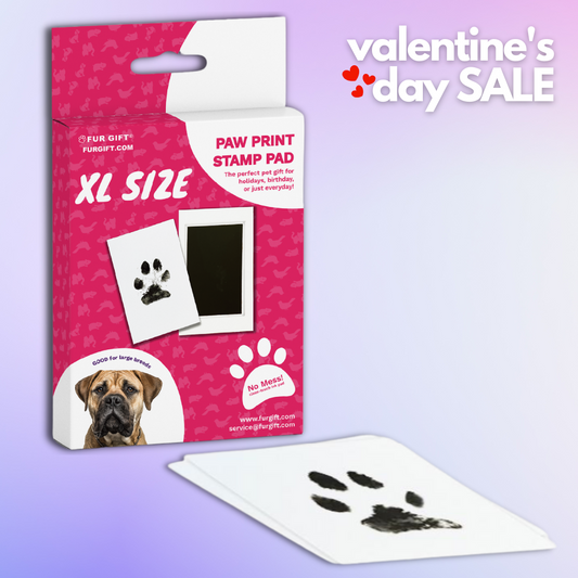 XL Paw Print Stamp Pads