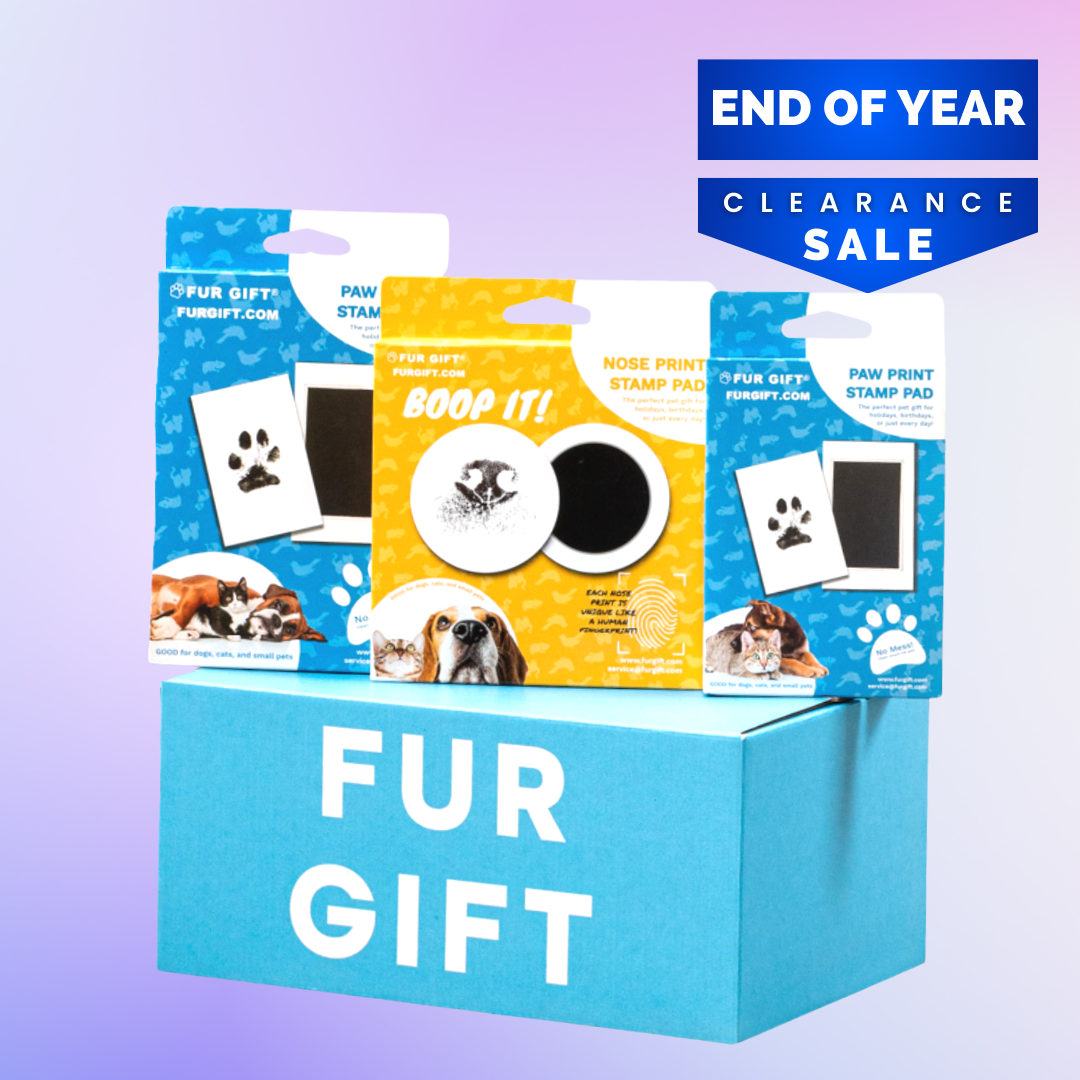 Dog Lover Surprise Gift Box