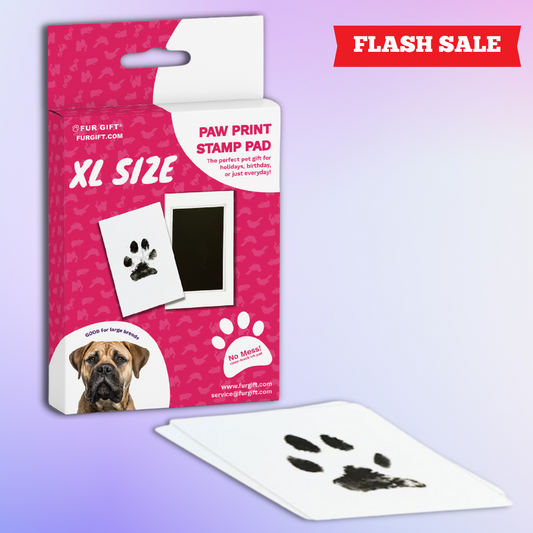 XL Paw Print Stamp Pads