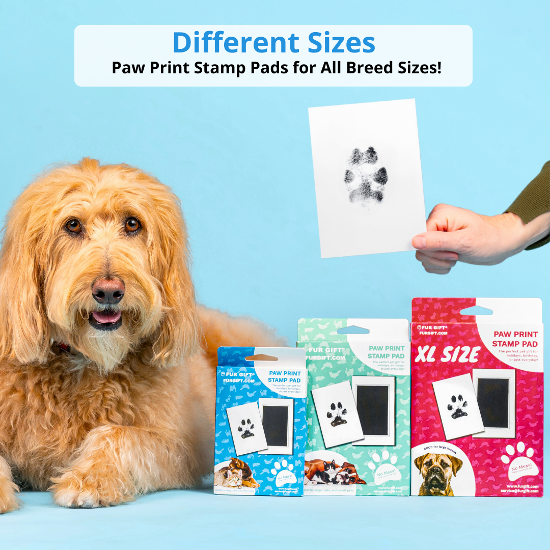 2 Pack of Plus Size Paw Print Stamp Pads – Fur Gift
