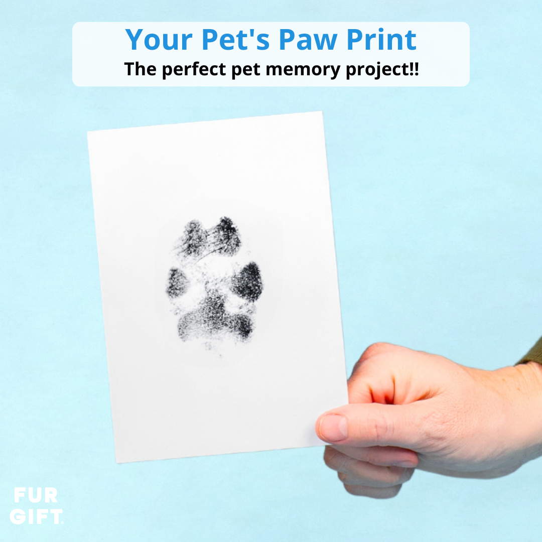 4 Pack of Paw Print Stamp Pads – Fur Gift