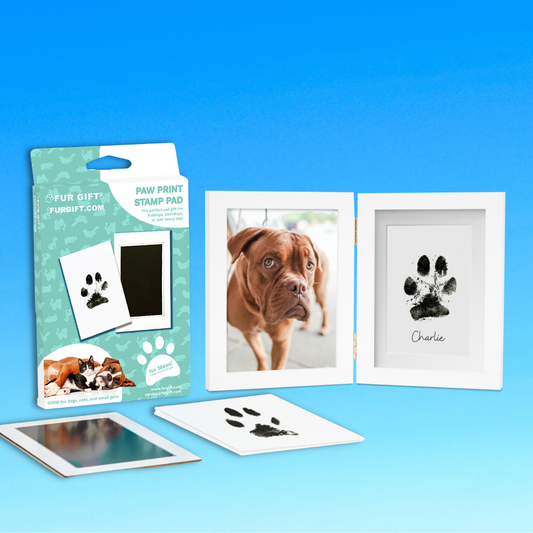 Pet Paw Print Frame