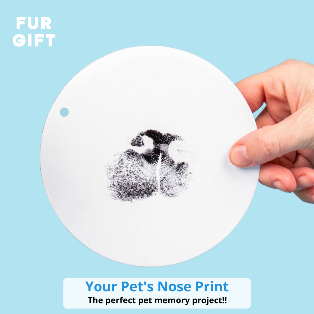  Nabance Paw Print Kit, Dog Nose Print Kit, No Mess Paw Print  Stamp Pad for Dogs & Cats, 8Pcs Pet Paw Print Impression Kit with Photo  Frames, Clean Touch Ink Pads