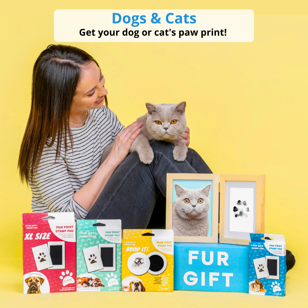 Cat Lover Surprise Gift Box