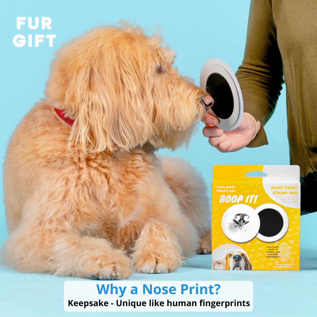 Paw Print & Nose Print Bundle – Fur Gift