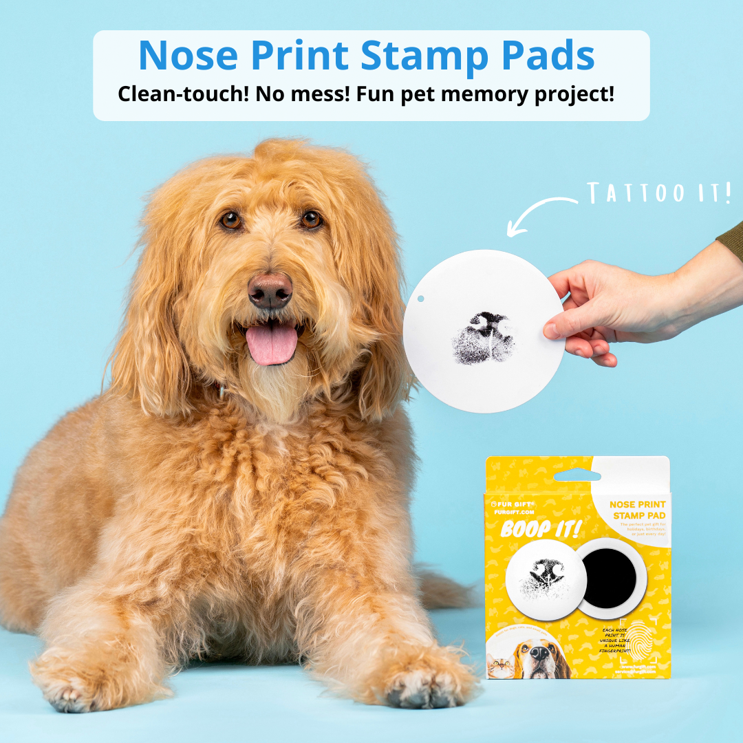  Nabance Paw Print Kit, Dog Nose Print Kit, 8 Pcs Baby Hand and  Footprint Kit with Cute Pattern Photo Frames, No Mess Paw Print Stamp Pad  for Dogs & Cats