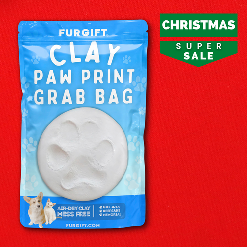 Clay Paw Print Grab Bag Kit