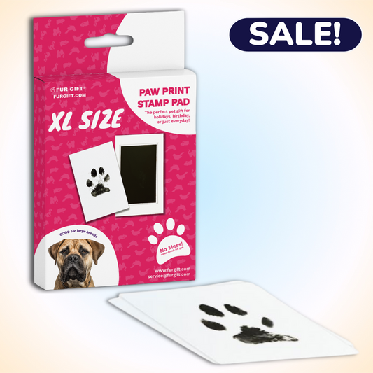 XL Dog Paw Print Stamp Pad