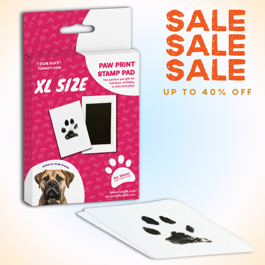 XL Dog Paw Print Stamp Pad