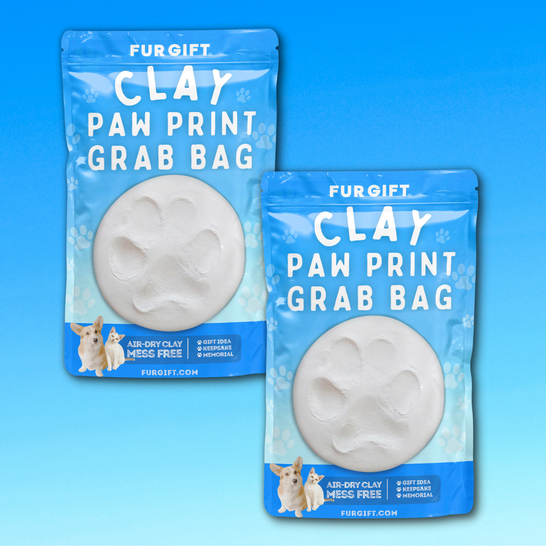 2 Pack of Clay Paw Print Grab Bag Kits