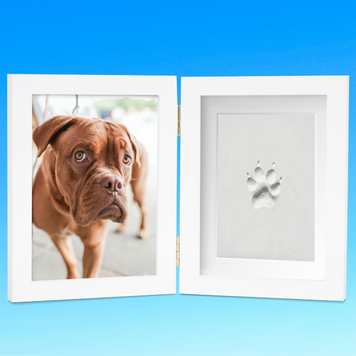 Paw print frame kit hot sale