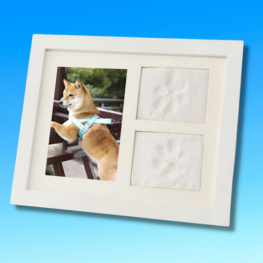 Pet Memory Paw Impression Kit