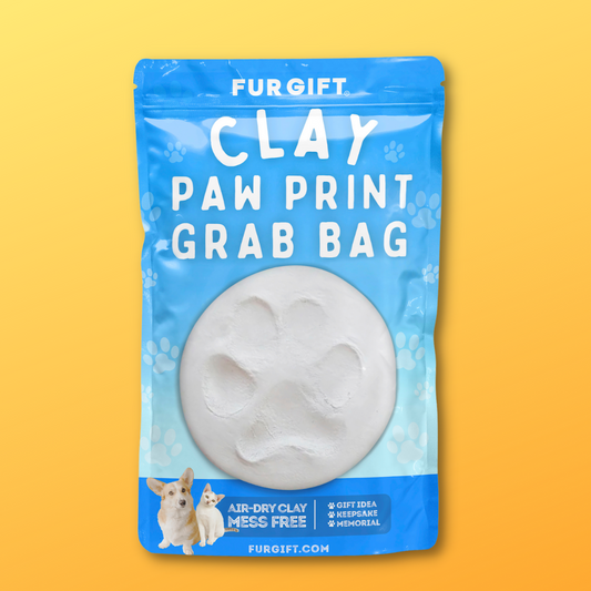 Clay Paw Print Grab Bag Kit
