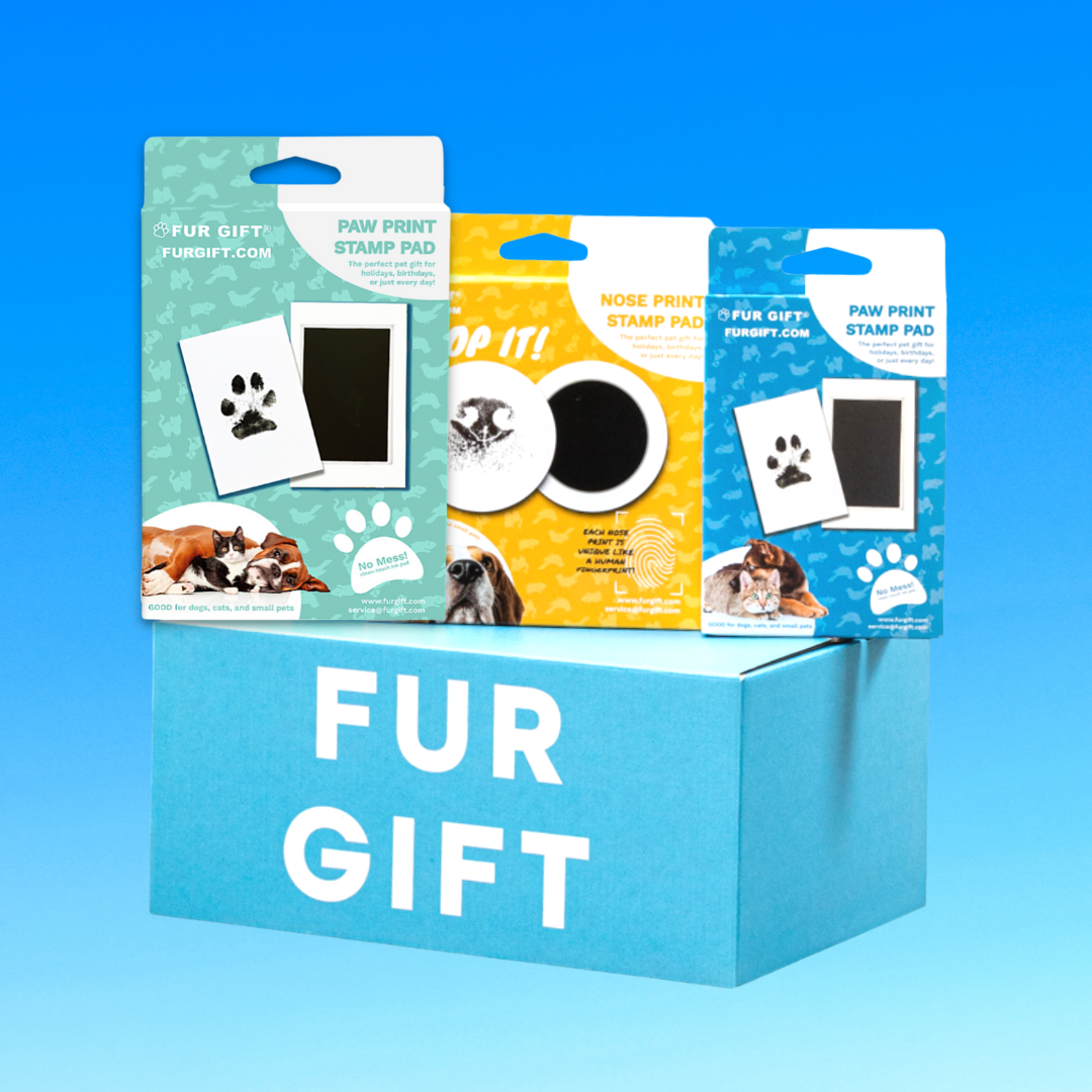 Cat Lover Surprise Gift Box